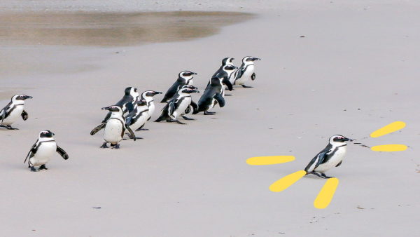 チームケアの中心に立つ仕事。ケアマネジャーのやりがいとは